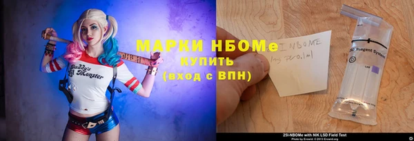 прущий лед Алзамай