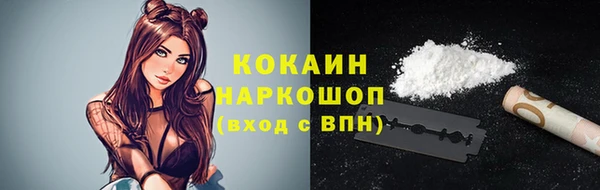 прущий лед Алзамай