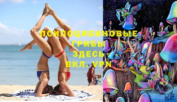 прущий лед Алзамай