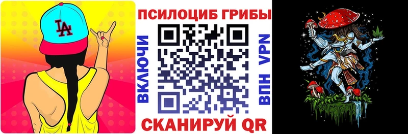 Псилоцибиновые грибы прущие грибы  Ахтырский 